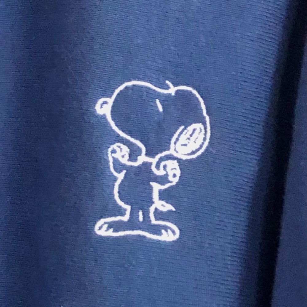 Snoopy Reverse Weave Hoodie (Nordstrom Limited Ed)